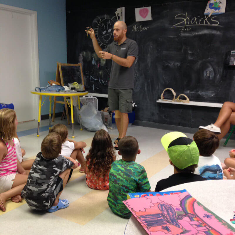 Waves Surf Academy-Programs